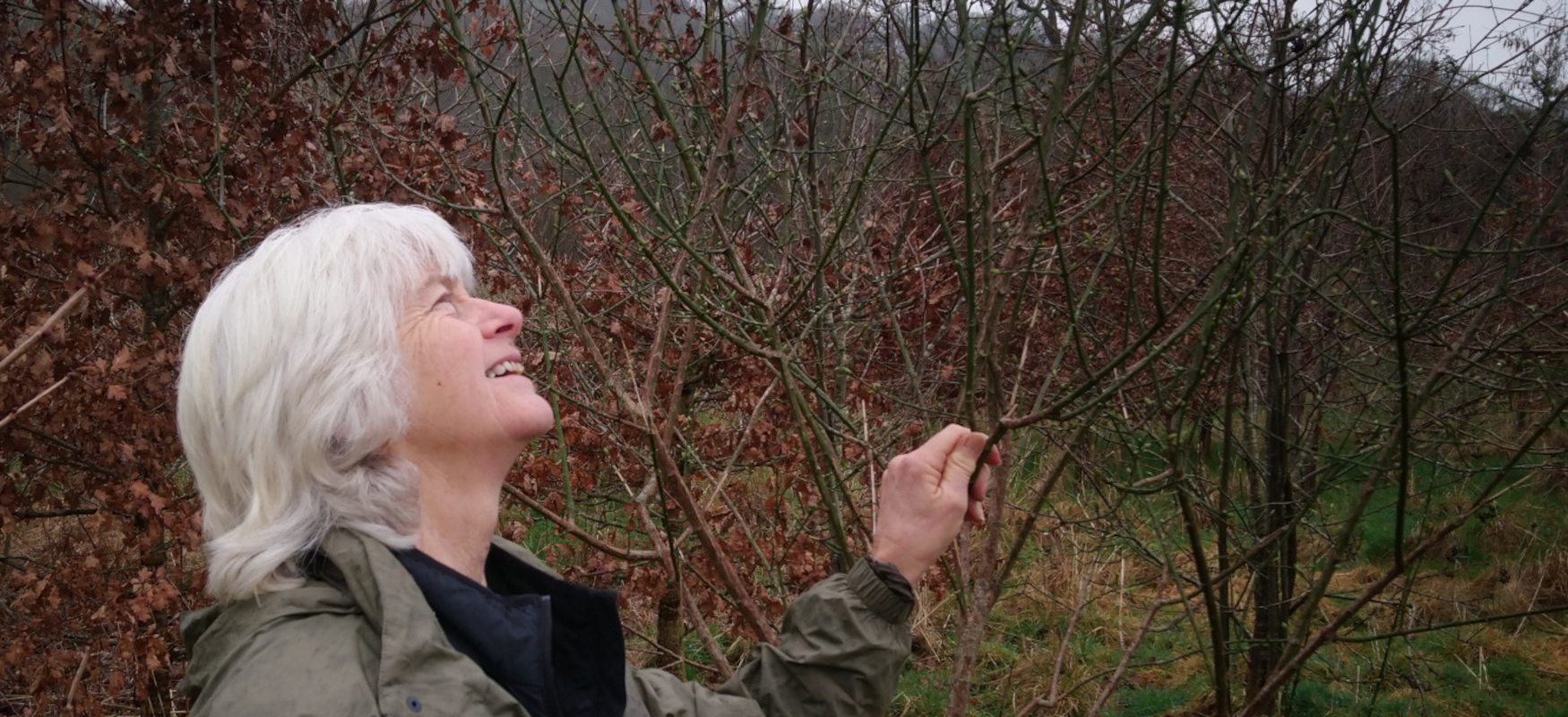 Katie Riley botanising